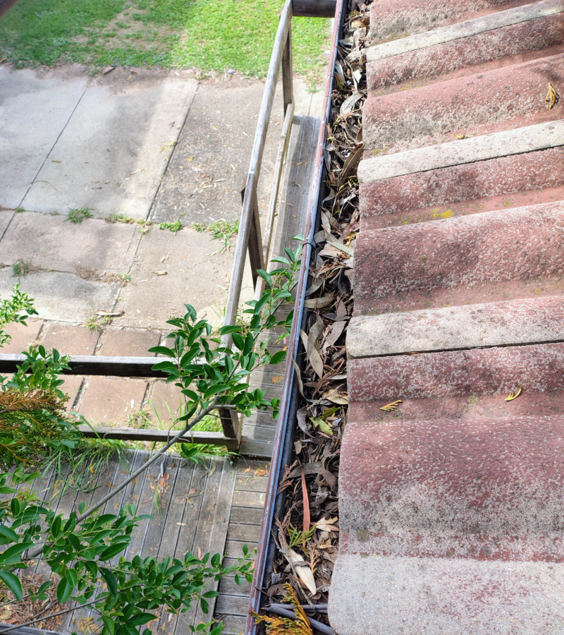 Assure Roofing Act_ Top-Rated Roofing Company
