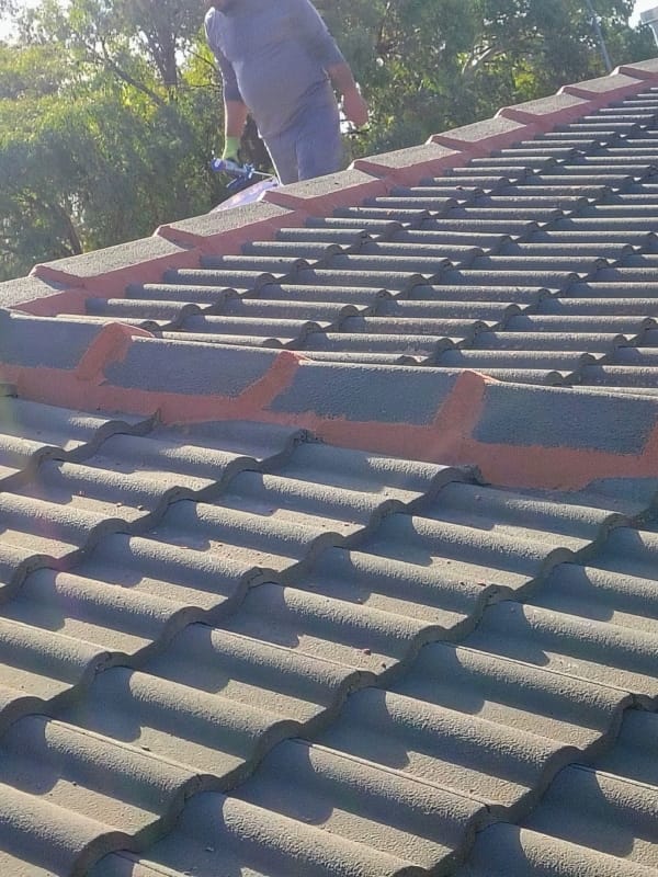 Best Roof Services Near Me