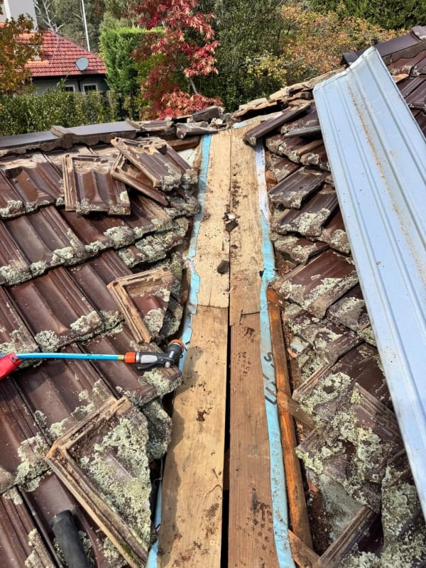 Best Roof repair Near Me