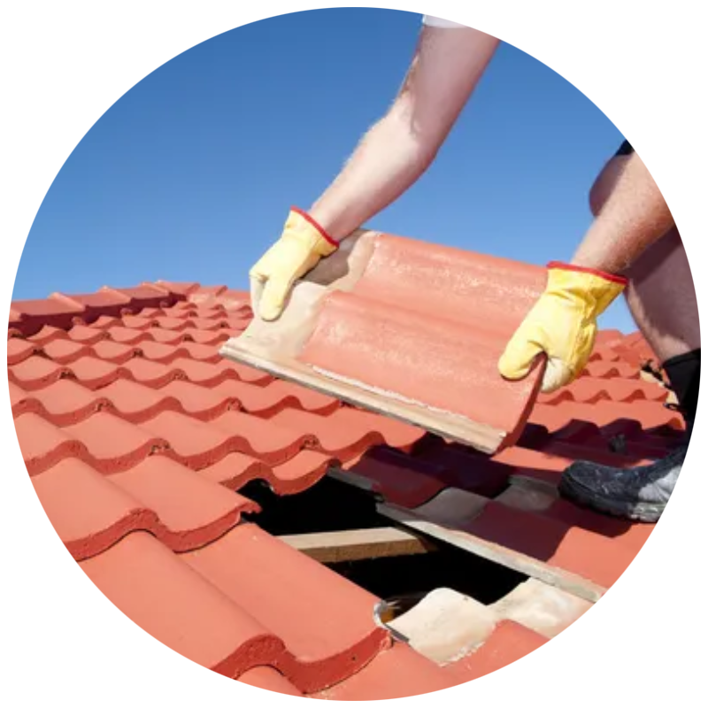 Roof Maintenance Services Near Me