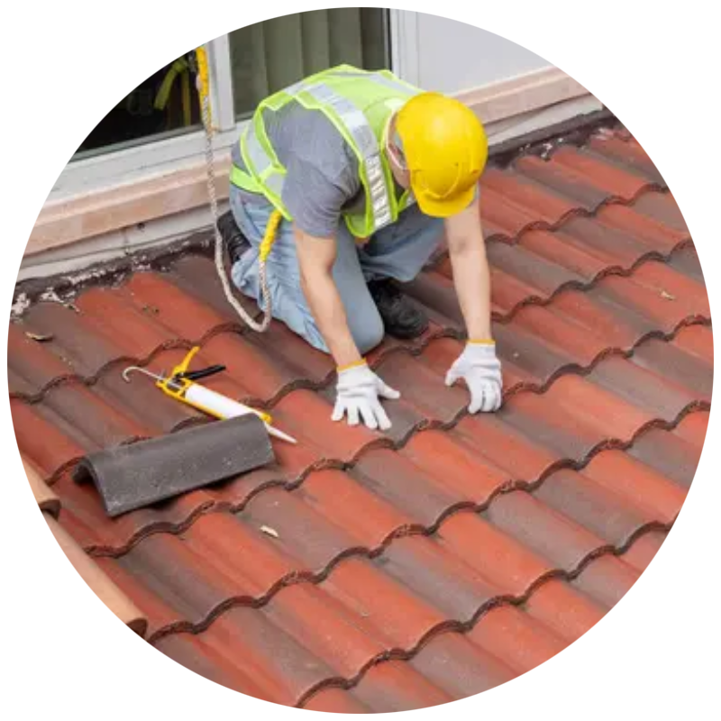 Roof Restoration Services Near Me