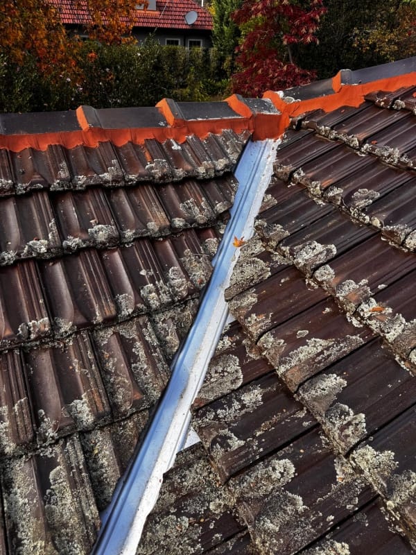 Roof repair Near Me